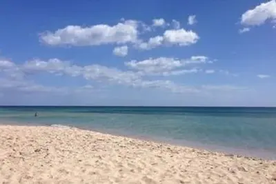 Image de Maison mitoyenne à l'ombre des pins à 500 mètres de la plage.