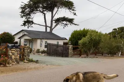 Image de Animaux acceptés Cottage / chiens sont les bienvenus