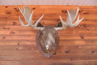 Image de Hidden4est, lac Memesagamesing