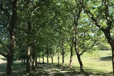 Image de Maison de maître  et maisonnette insolite dans la Double