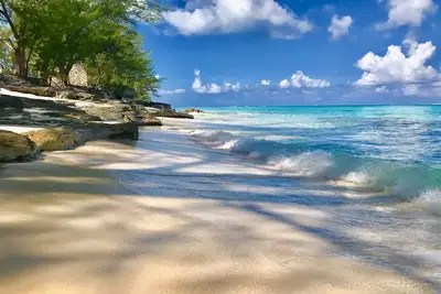 Image de Bimini Hideway - Apex