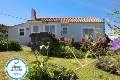 Image de Hébergement calme et confortable avec une vue magnifique et un beau jardin
