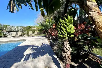 Image de Belle maison privée sur canal avec piscine à quelques minutes des plages du golfe ☼