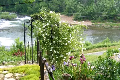 Image de Manior français privé surplombant la rivière Spring