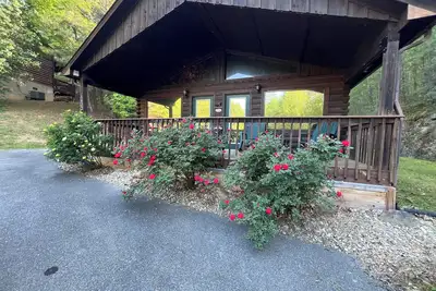 Image de Beary Tale! Cabine de villégiature privée à côté de Dollywood! Votre bonheur pour toujours!