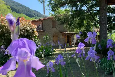 Image de Maison En Pierre Au Coeur De La Toscane Avec Grand Jardin Et Piscine