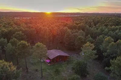 Image de Magnifique Villa En Bois Au Coeur De La Foret Du Pyla\n10 Min de la Plage