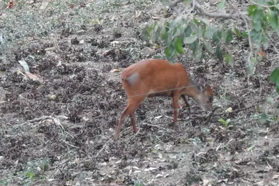 Image de Birds Babble Self Catering Guest House