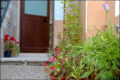 Image de Appartement avec une bonne situation centrale