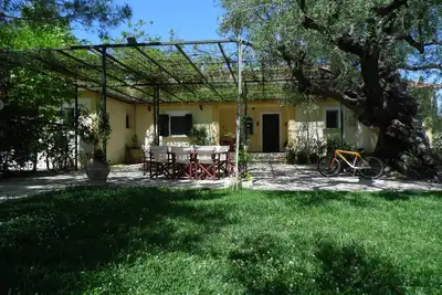 Image de Belle villa dans une oliveraie de 11 acres