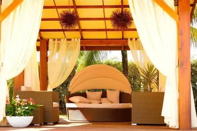 Image de Terrasse Jardin avec forêt de Mangrove