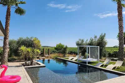 Image de Villa contemporaine avec piscine à débordement dans domaine viticole