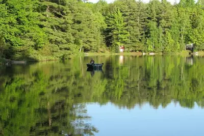 Image de Turtle Cove (sur le lac Town, près de Pictured Rocks) - Emplacement idéal! Roches de la photo à 30 minutes
