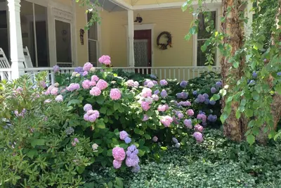 Image de Maison de style Queen Anne historique dans le village de Douglas / Splendeur Saugatuck-Vintage