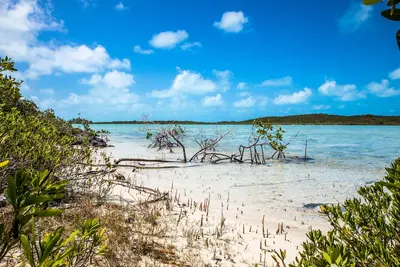 Image de Romantic Oceanfront Cottage - Superbes vues sur l'océan et le coucher du soleil!