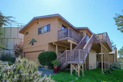 Image de Un magnifique panorama sur les arbres