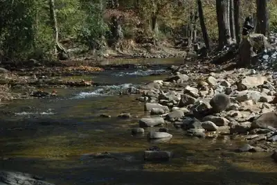 Image de Creekside, FirePit, spa, accès facile, porche moustiquaire