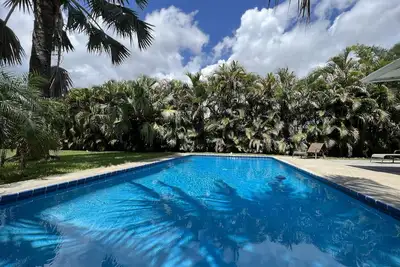 Image de Escapade tropicale! ! ! !