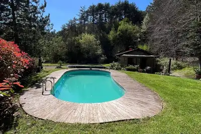 Image de Au coeur du parc forestier de Casentinesi
