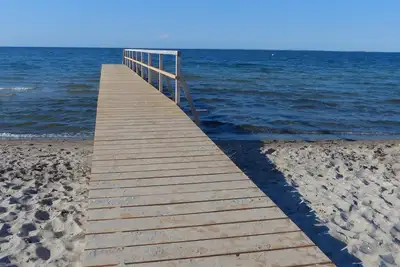 Image de La vie est meilleure Ă la plage