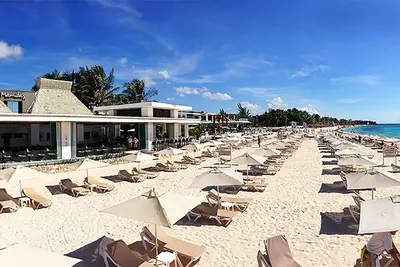 Image de 5th Ave & 28th St - Emplacement parfait à Playa del Carmen