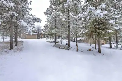 Image de 30 Érable de vigne - Accueil des animaux domestiques avec tables de jeu.