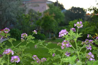 Image de néo-classique localisé d'Agios Ioannis. Αριθμος μητρώου ακινήτου 00000026838