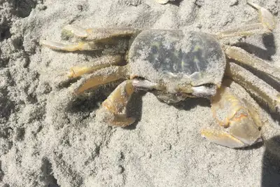 Image de Si vous Aimez le soleil, c'est l'endroit