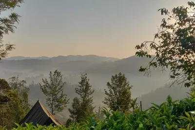Image de Janardan Tea Resort - Campsite