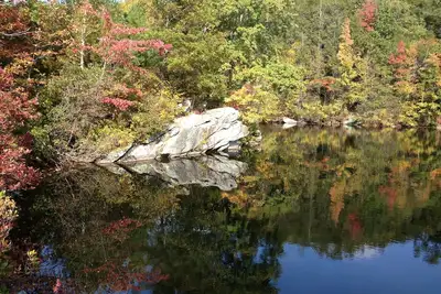 Image de Charmant Post and Beam Cottage (près de Foxwoods)