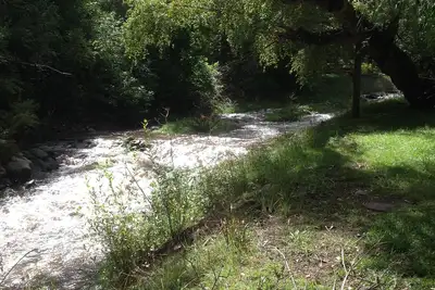 Image de Détendez-vous à notre cabine avant de la rivière dans le Canyon supérieur historique