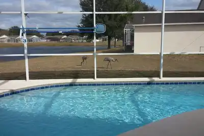 Image de Vue sur le lac Accueil / Piscine privée / WiFi gratuit près de Disney World