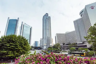 Image de Yoyo International Apartment