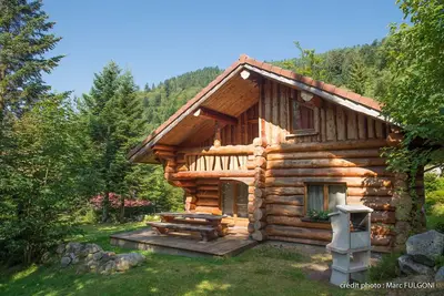 Image de Magnifique Chalet rondins de 130 m² tout confort à La Bresse, wifi, très calme