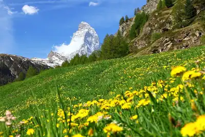 Image de Bel appartement pour 4 personnes avec Wifi, Tv et balcon