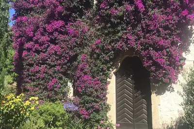 Charmant appartement avec jardin et piscine