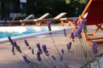 Image de Aux portes de la nature