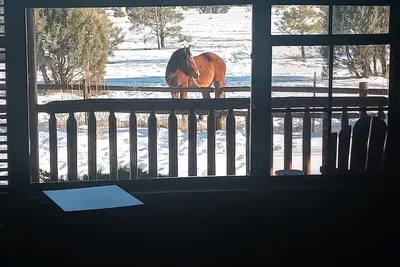 Image de Retraite de Willow's Cabin: 3 chambres avec lit king. Vues + chevaux sauvages