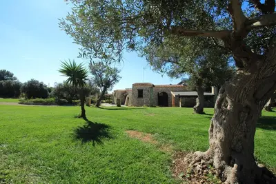 Image de Piperita lovely trullo