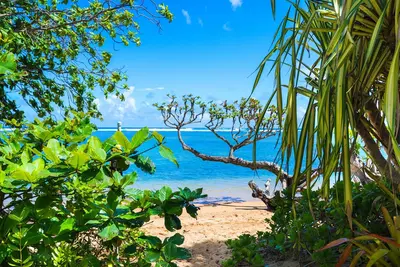 Image de Cottage Oceanfront w / vue sur l'océan et l'accès à la plage dans la rue!