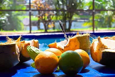 Image de Cape Coral, grande villa, piscine chauffée, sur canal, pêche, Wi-Fi gratuit, cheminée