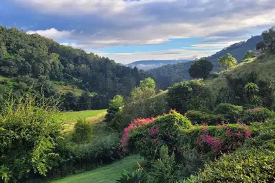 Image de Beaumont High Country Homestead - Escapade paisible sur une propriété de bétail en activité