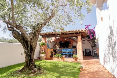 Image de House adjacent to playground with ancient olive trees