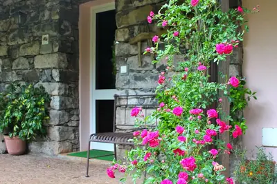 Image de Quinta do Pântano est un endroit calme et réservé, avec une ambiance et des paysages uniques