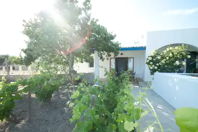 Image de Maison calme située dans le point culminant de Formentera