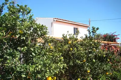Image de Gîte au calme au milieu d'un verger