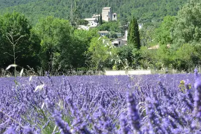 Image de Gîte de charme, classé 3*, en Drôme provençale, au Poët Laval, avec jardin clos