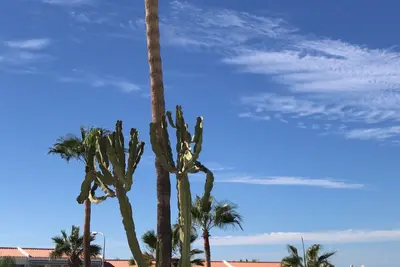 Super bel appartement avec vue sur la mer et super grande terrasse aussi