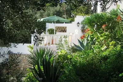 Image de Studio avec terrasse ensoleillée, pavillon de jardin et piscine