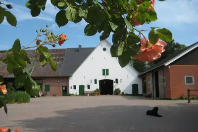 Image de Grand appartement ensoleillé sur la Mer du Nord